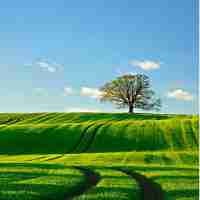 自﻿然‍流‍量​包‍含​