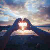 免‍费﻿搜‌索‍流‌量﻿的‍性​质‌